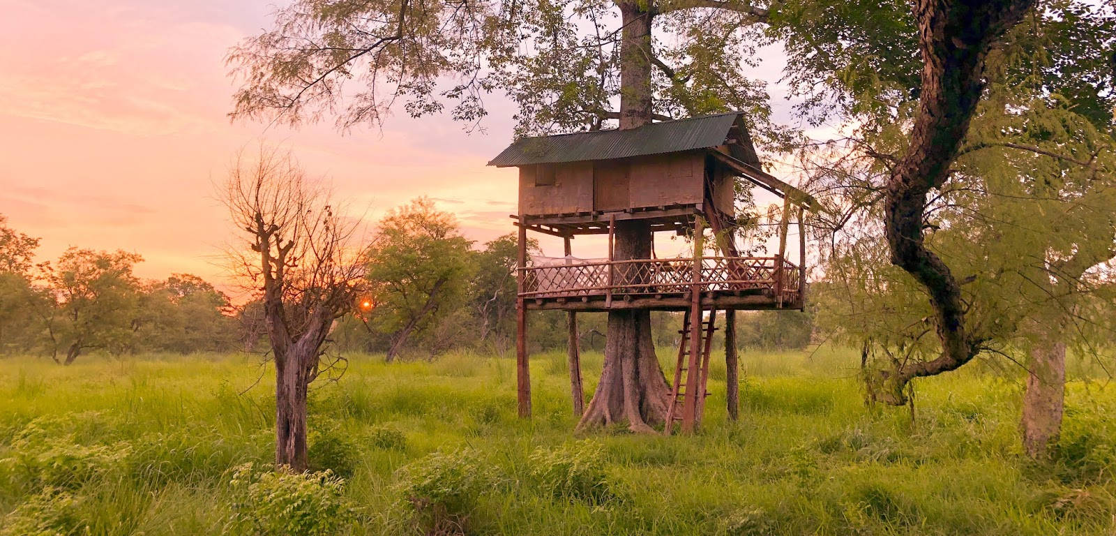 Of slapen in een boomhut in het Bardya Park!