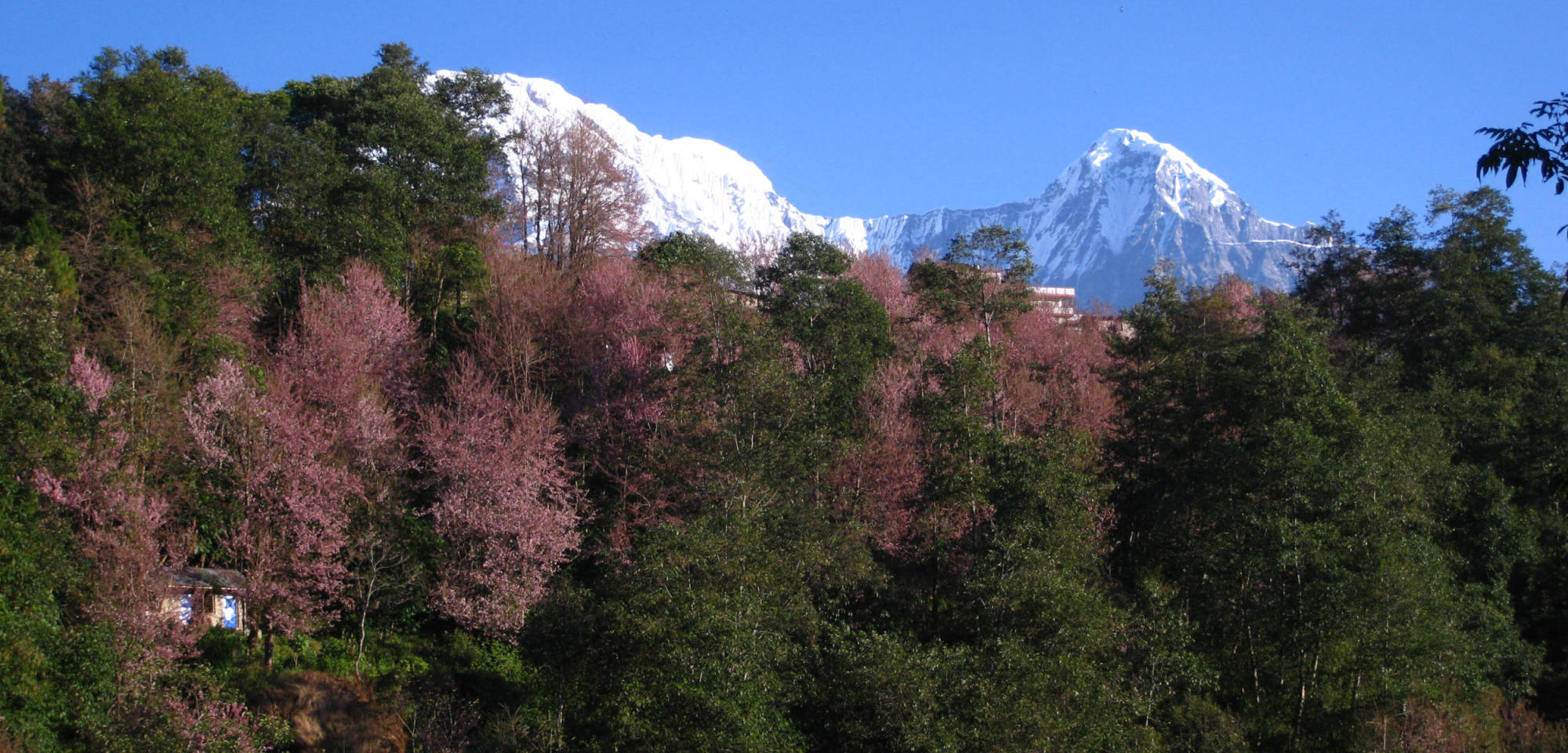 De prachtige omgeving van Ghandruk.