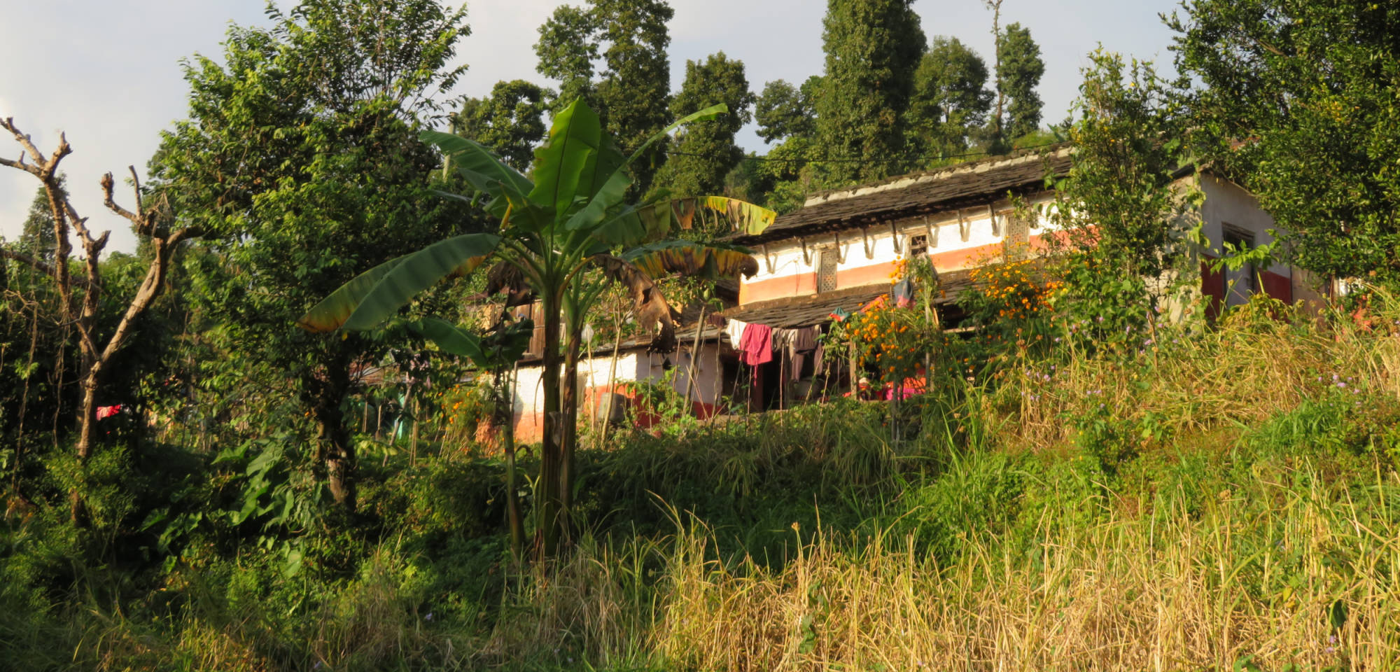 De HomeStay vanaf de akkers.