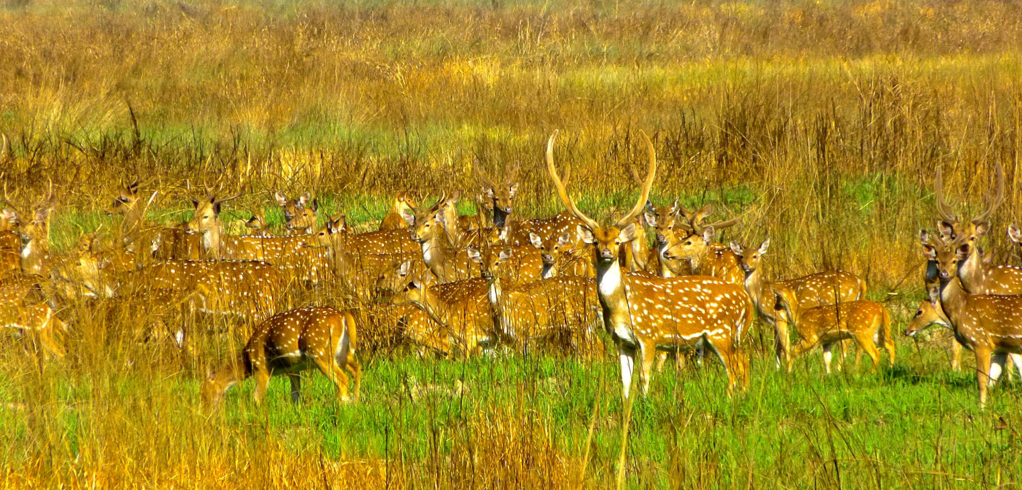 Het prachtige Parsa National park ...