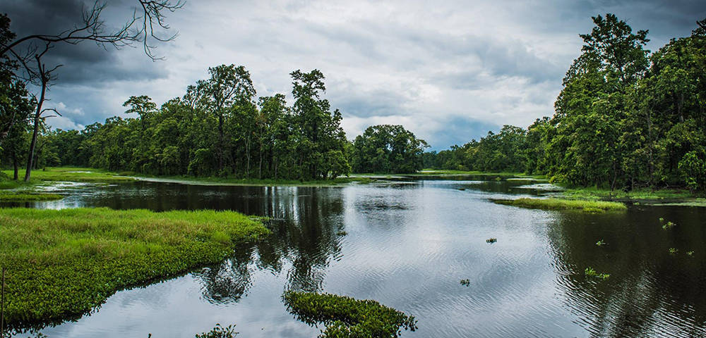 Het prachtige Chitwan National Park