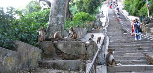 Kathmandu - Swayambhunath